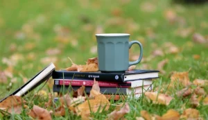 Книжкові новинки осені 2026: 10 історій під різний настрій